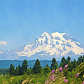 Mount Rainier Watercolor